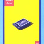 voorkant Blauwe damp roman Marcel Maassen